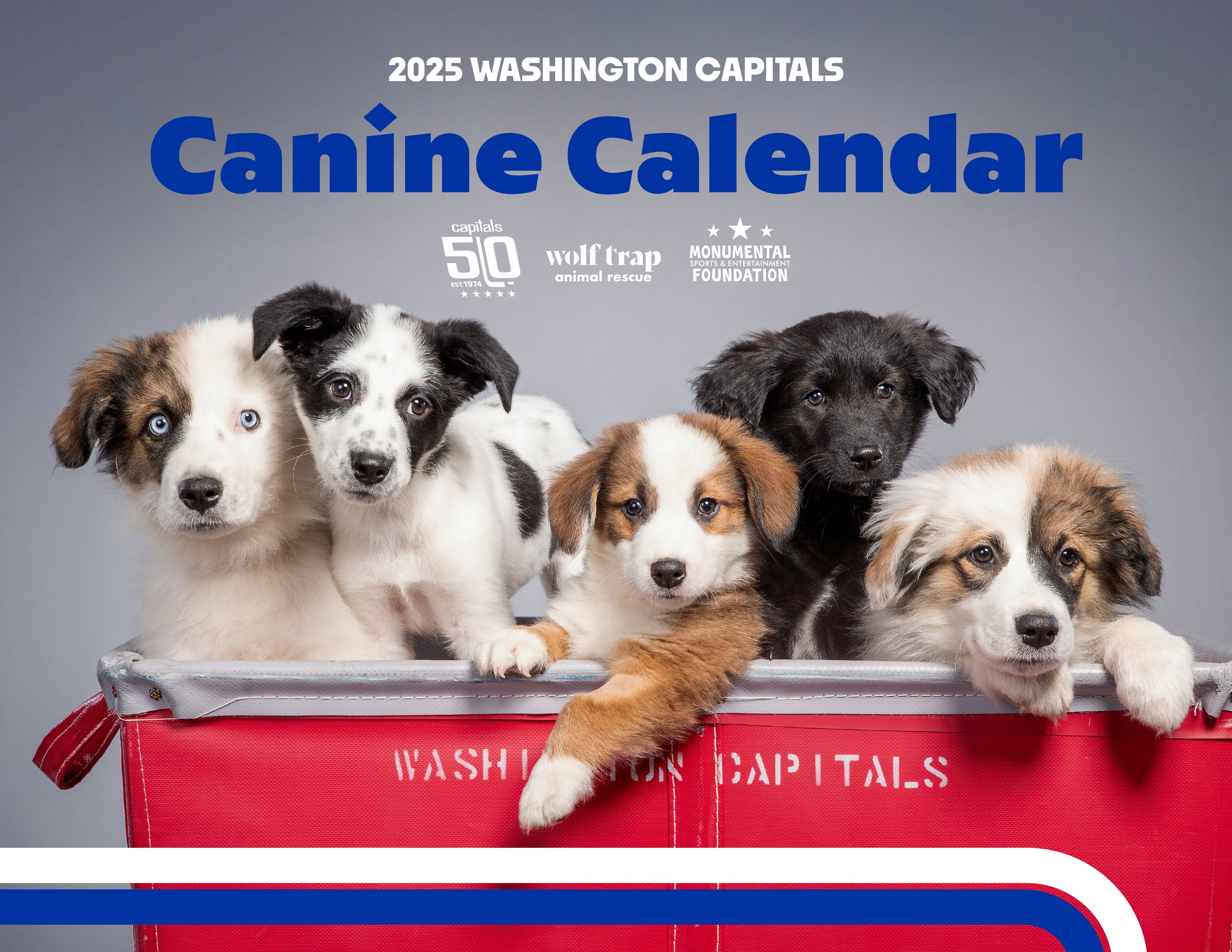 2025 Capitals Canine Calendar Monumental Foundation